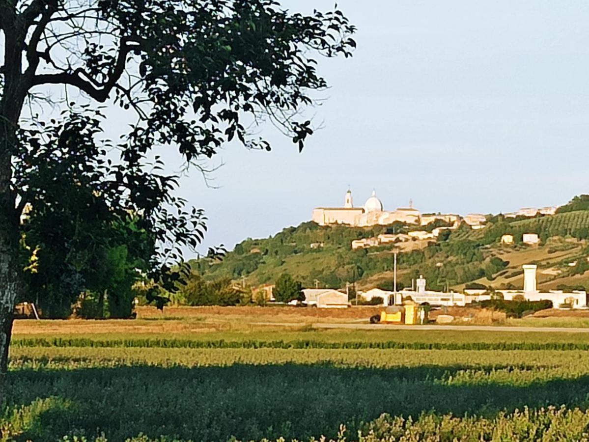 Il Cipresso Leilighet Casa Saraceni Eksteriør bilde